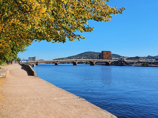 Frikirken vil revitalisere og plante nye menigheter